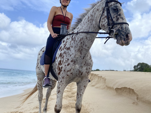 Sandy Turf Stables Barbados-Frere Pilgrim必去景点