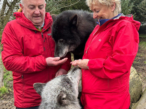 Predator Park-Ayside必去景点