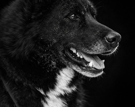 Alpi Traineau-Orcieres必去景点