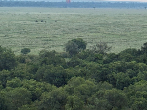 Skyship Co. Balloon Safaris-马赛马拉国家野生动物保护区必去景点