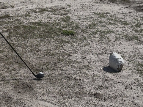 Sanibel Island Golf Club-萨尼贝尔岛必去景点