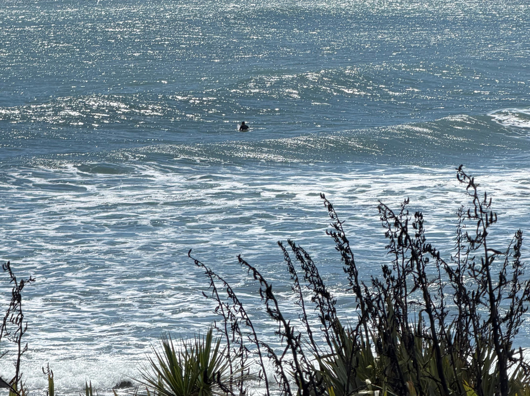海湾别墅海滨住宿主图