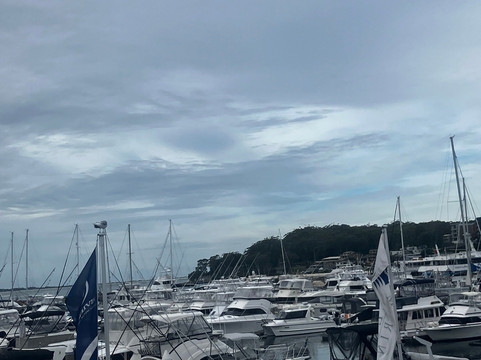 纳尔逊贝置地广场酒店主图