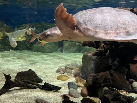 Oceanarium-伯恩茅斯必去景点