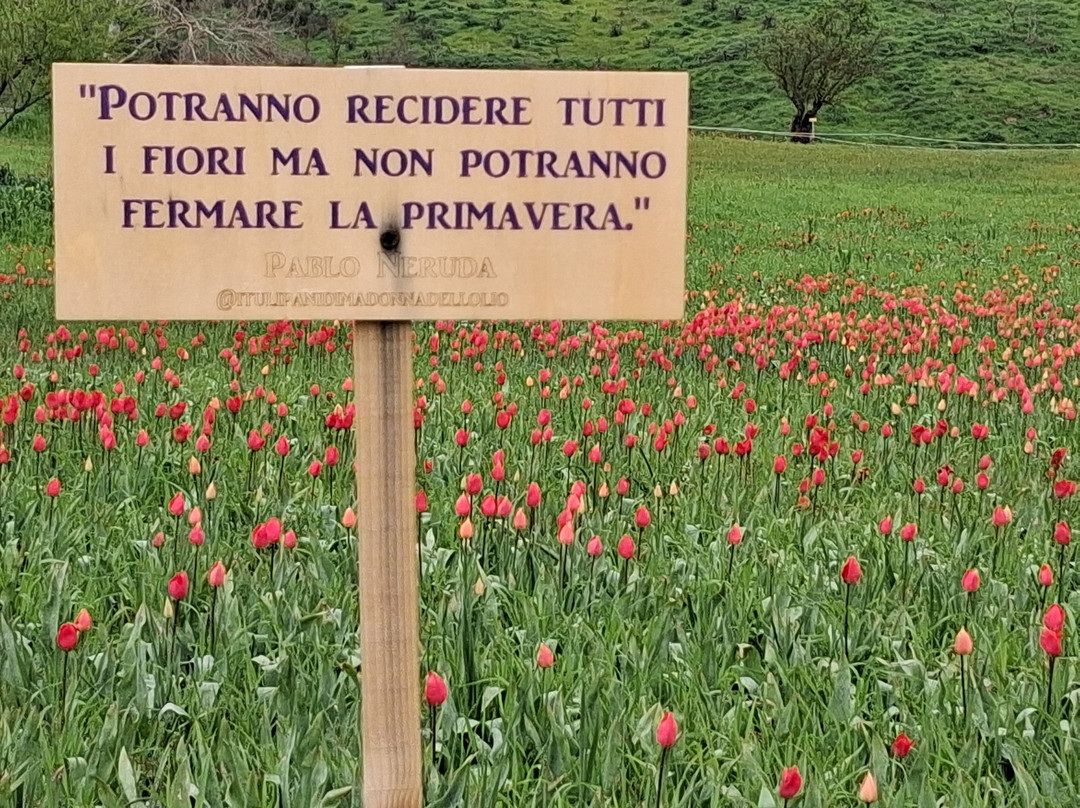 Santuario Madonna dell'Olio-Blufi必去景点