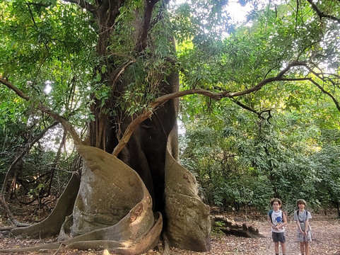 Soumare Tour-开普史基林必去景点