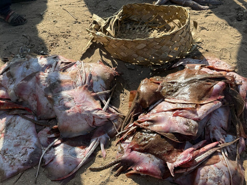Happy Excursions Senegal-莫布瓦必去景点