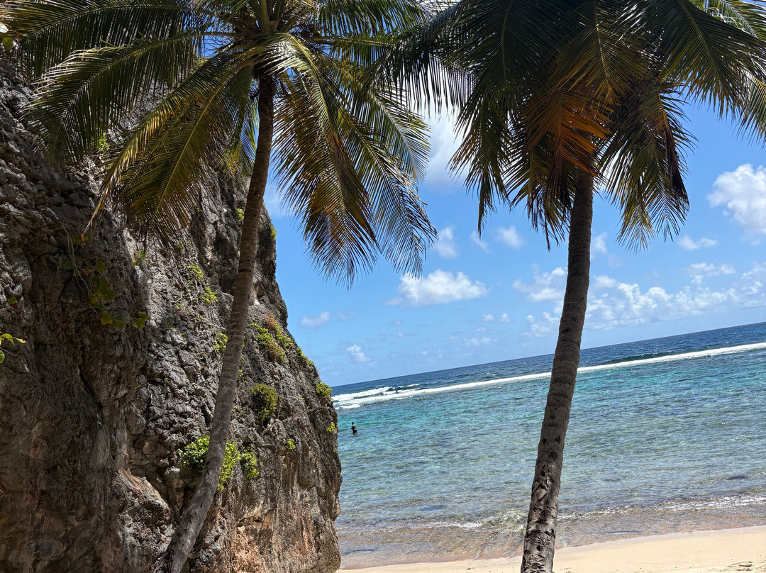 OlympiaOnBoard-Las Galeras必去景点