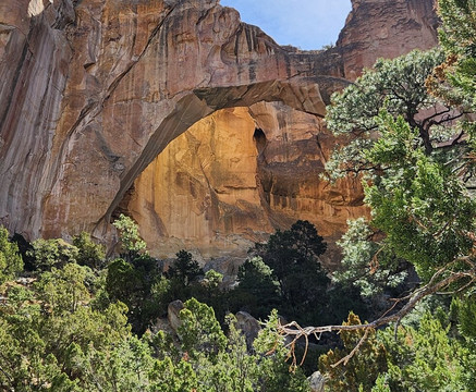 El Malpais National Monument Visitor Center-Grants必去景点