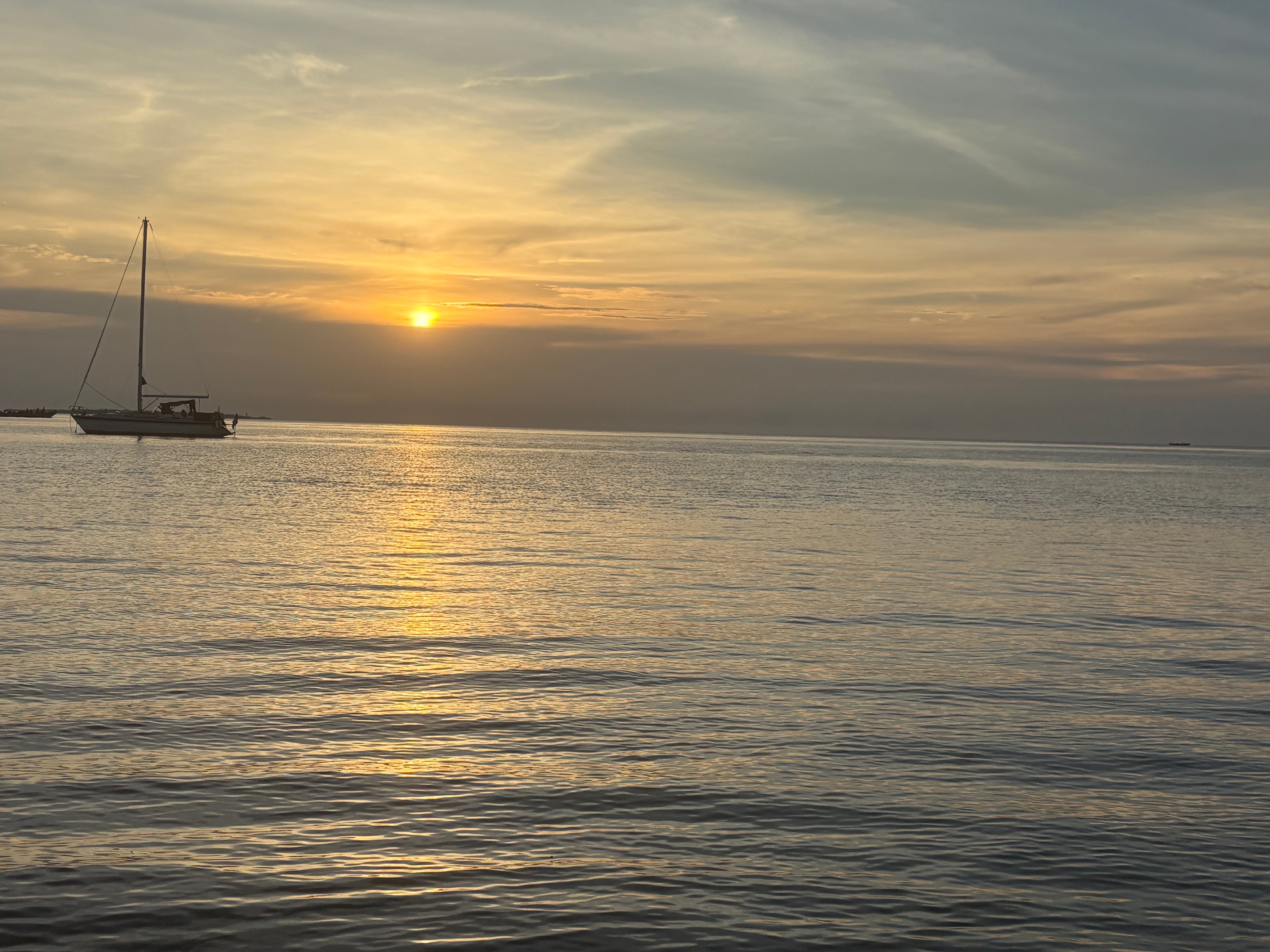 桑给巴尔巴哈里别墅酒店-官方