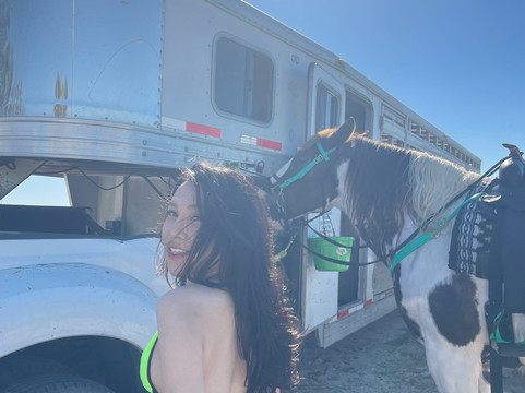 C Ponies Beach Horseback Rides-布雷登顿必去景点