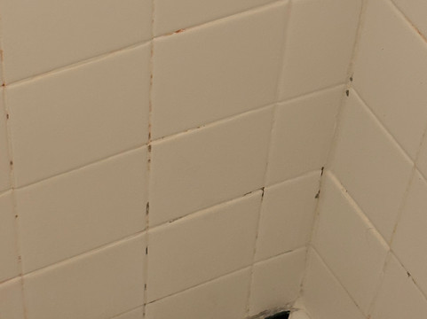 威廉斯堡雪松住宿加早餐旅馆主图