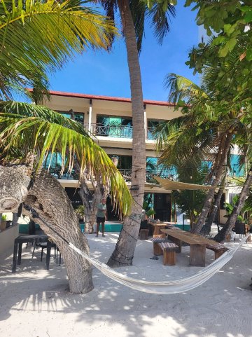 图鲁斯杜卡谋珀斯旅馆-官方