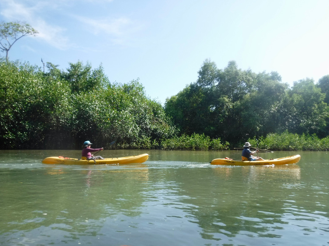 Pineapple Tours-主日镇必去景点