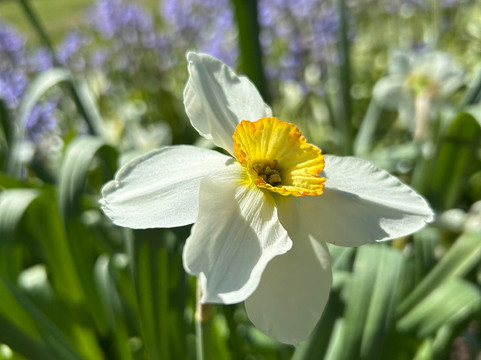 斯库尔屋旅馆主图