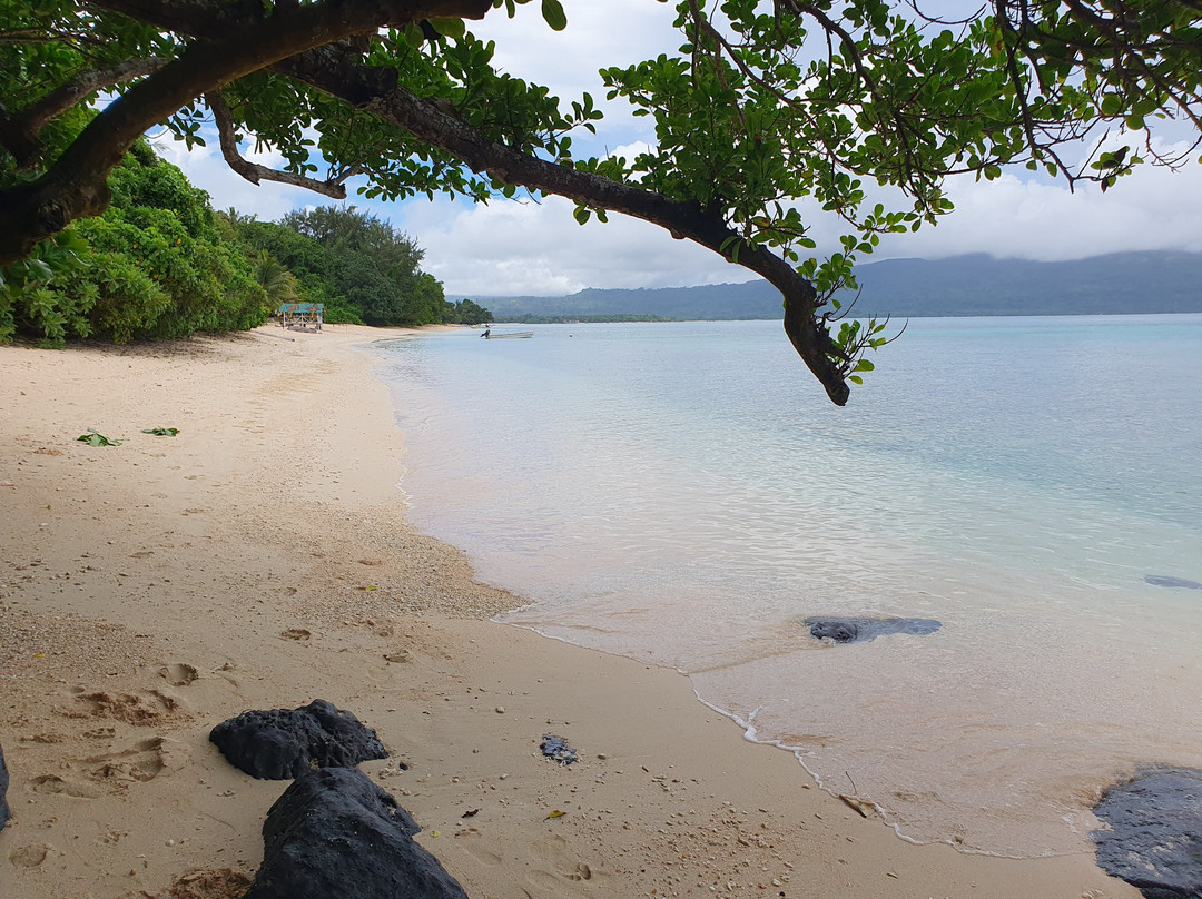 Turtle Beach Bungalow & Tours-Pele Island必去景点