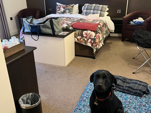 克雷文嘿坲宾馆主图