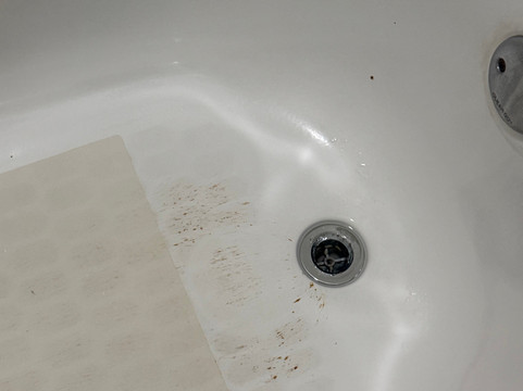 新奥尔良机场南舒适酒店主图