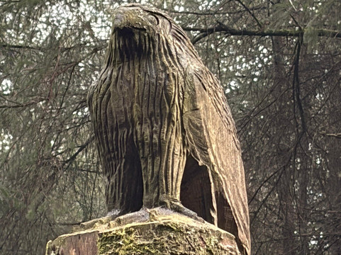 Beacon Fell Country Park-Goosnargh必去景点