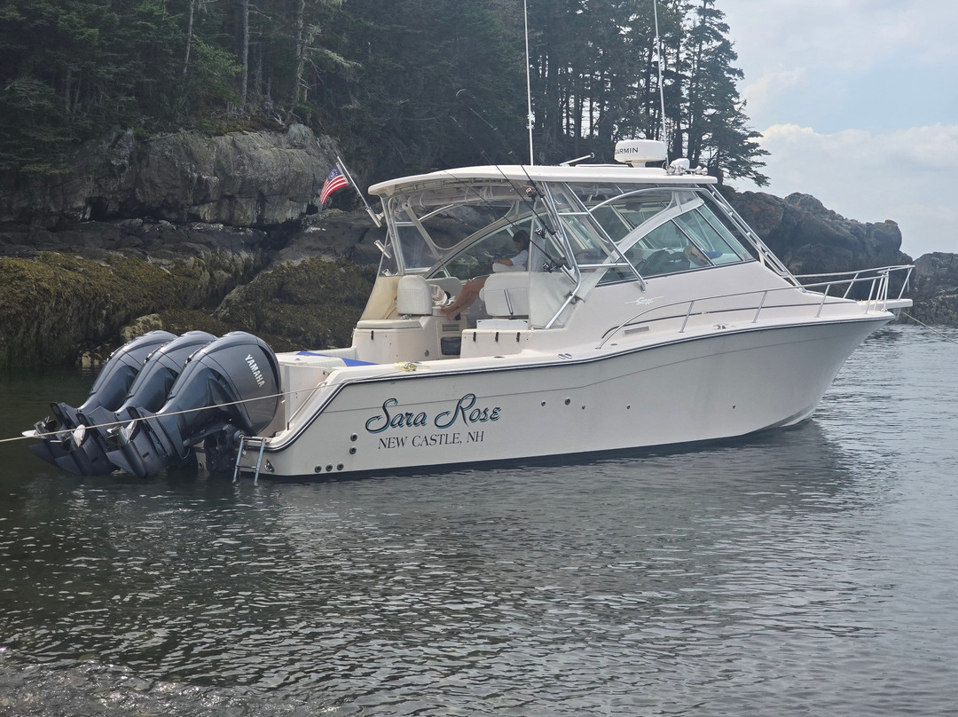 Seacoast Boat Charters-New Castle必去景点
