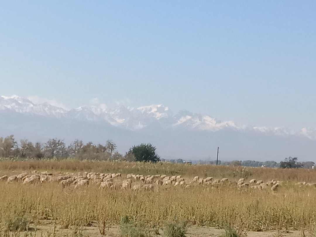 阿拉木图帕克德德曼酒店