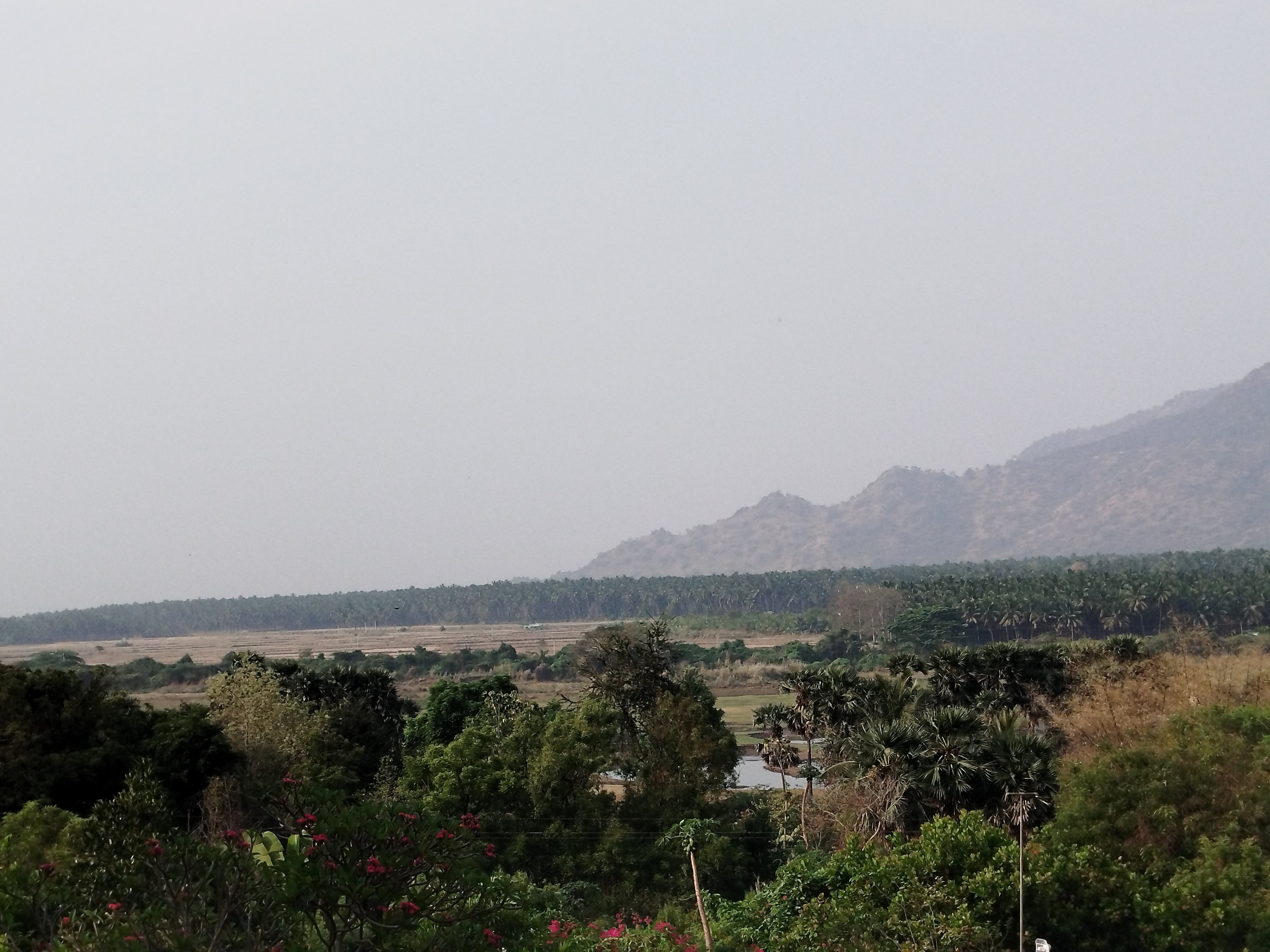 Cardamom House-官方