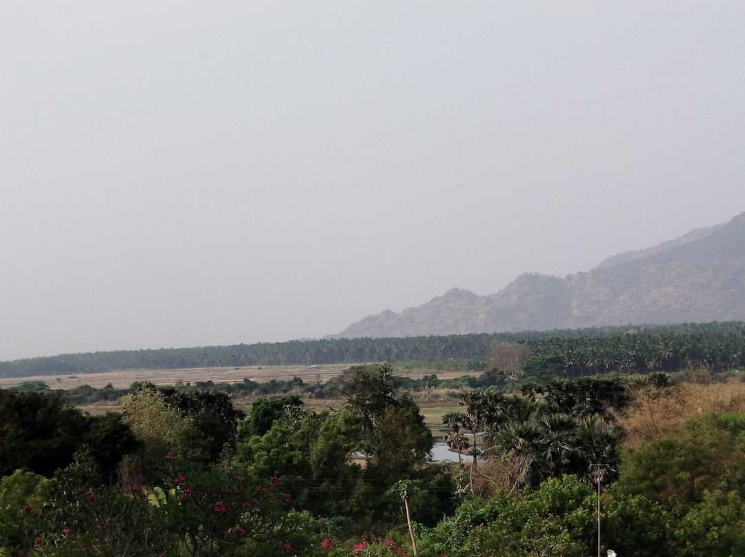 Cardamom House主图