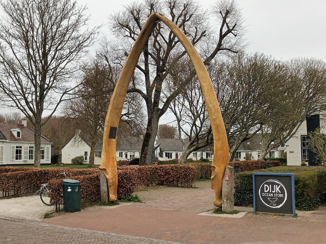 Whale Jaws-Schiermonnikoog必去景点