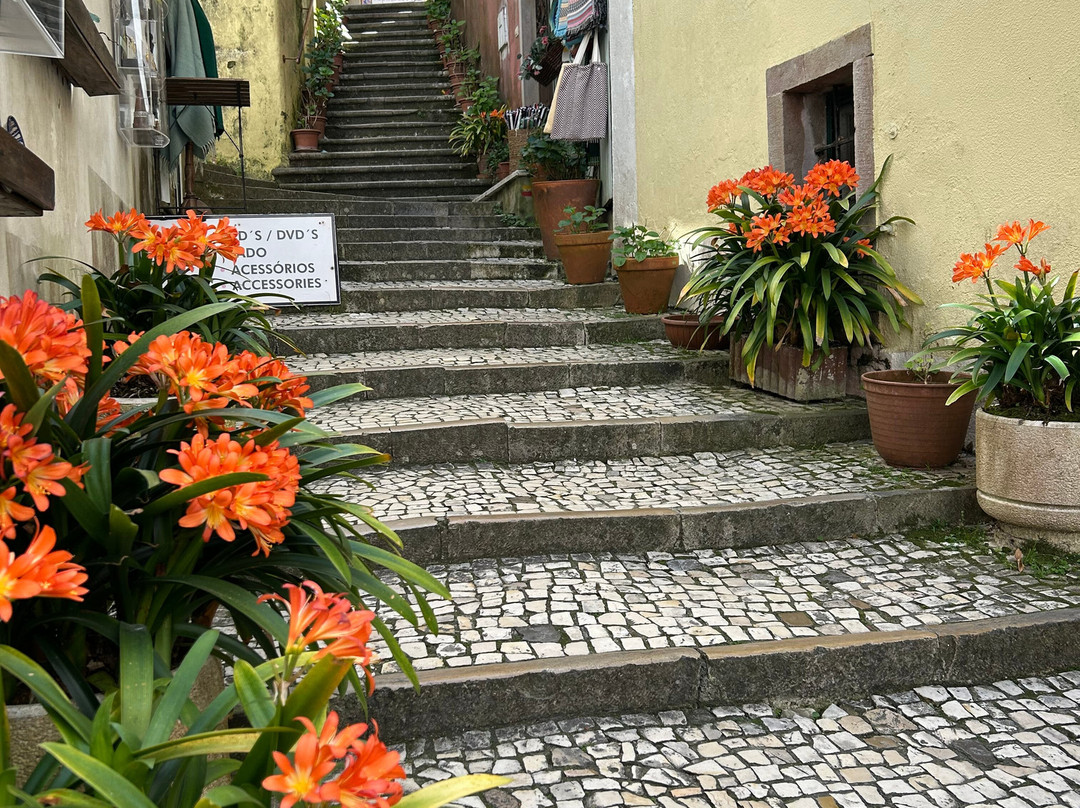 Lanetours-里斯本必去景点