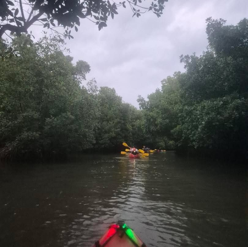 Puerto Rico Bio Bay Tours LLC-法哈多必去景点