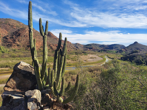 Hotel Los Arcos de Sonora主图