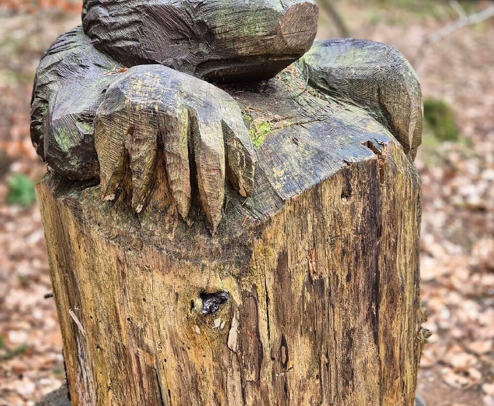 Roeverknolden-Rebild必去景点