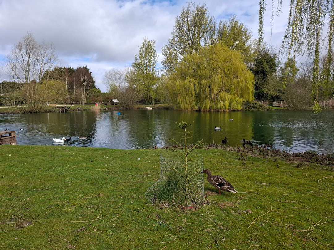 Willow Pond Camping