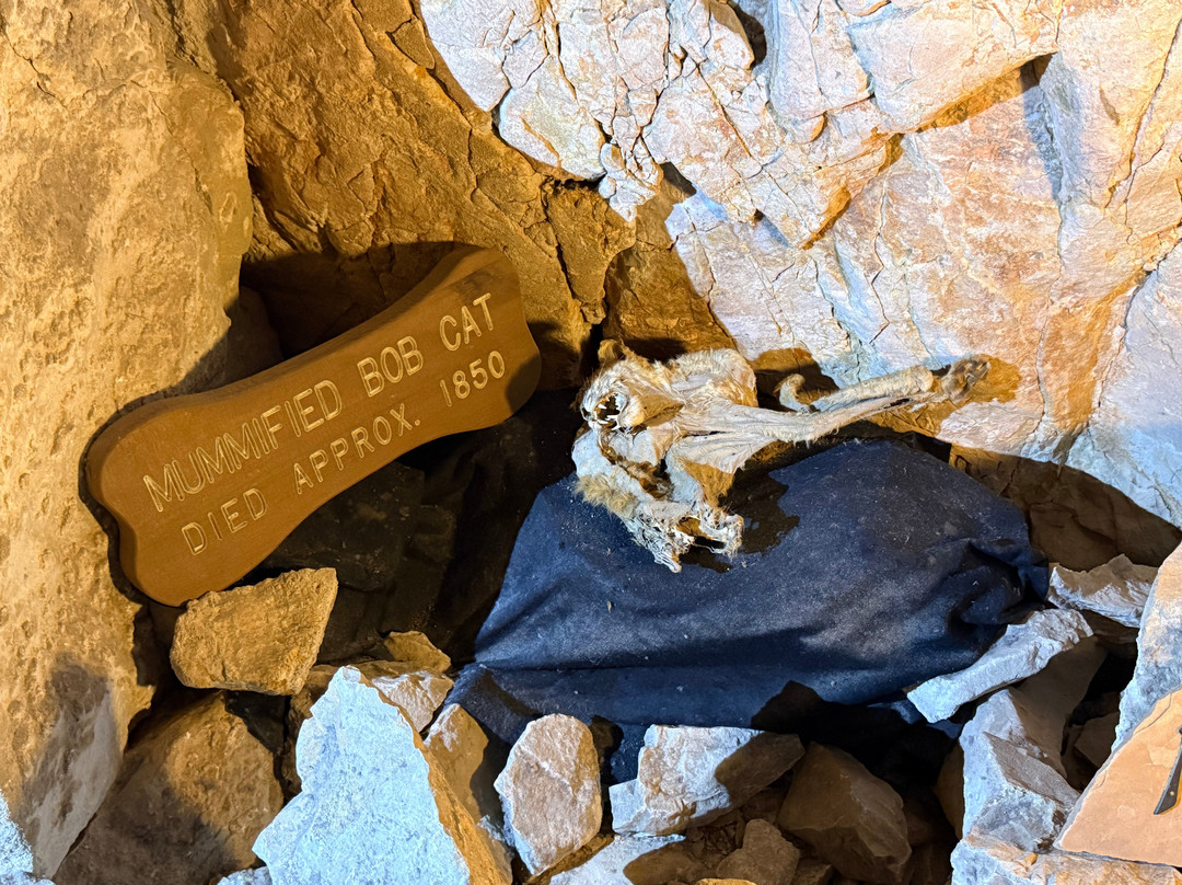 Grand Canyon Caverns-皮奇斯普林斯必去景点