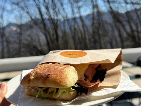 Tampa Cable Car-布拉索夫必去景点