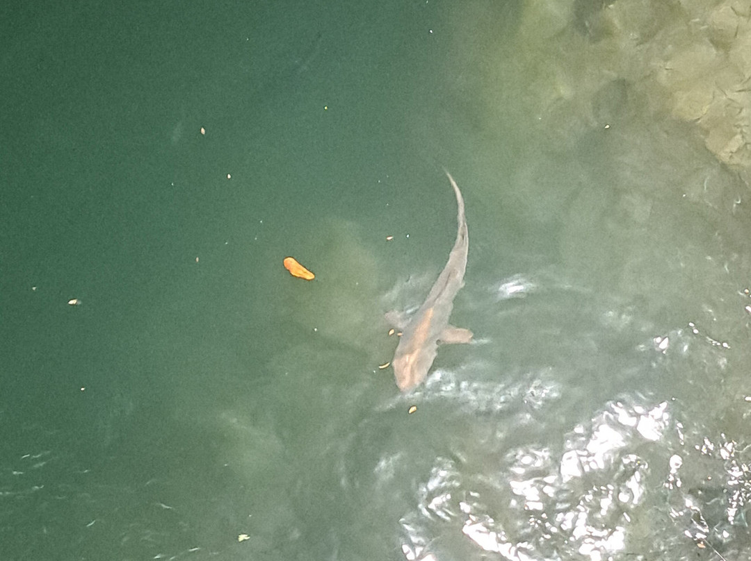 Smart Galapagos-阿约拉港必去景点