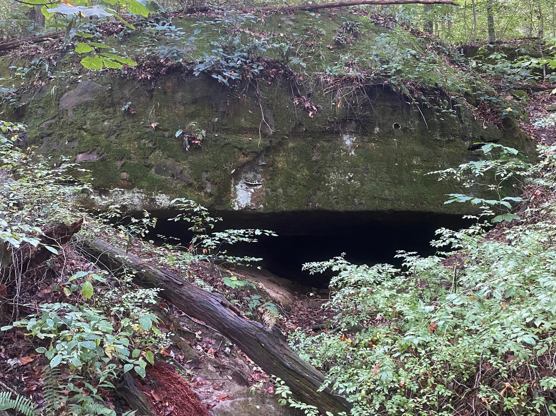 Salt Fork State Park-Cambridge必去景点