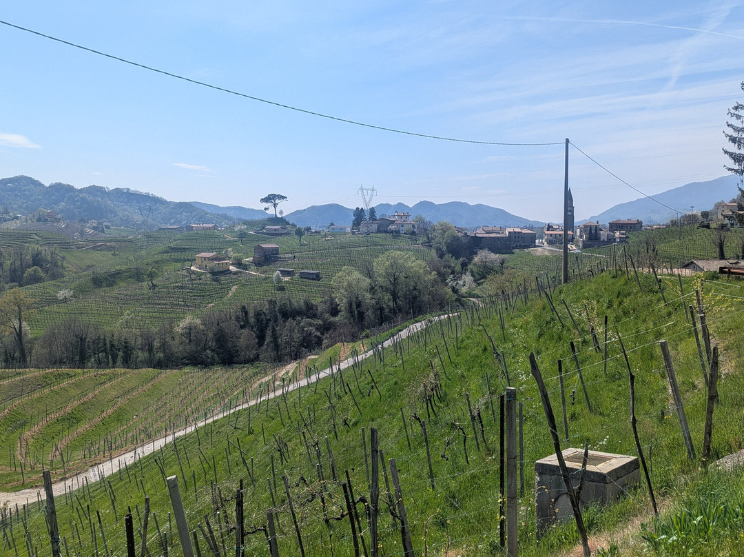 里莱斯度卡迪多尔酒店主图