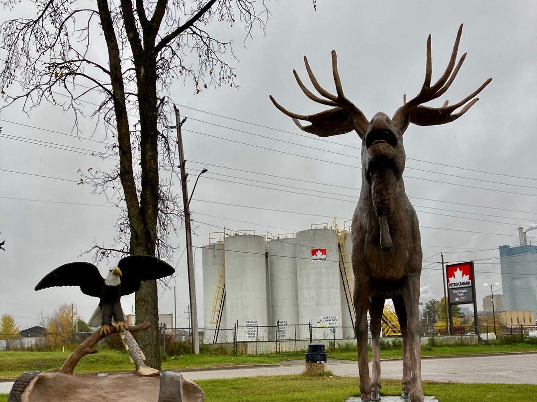 Max the Moose