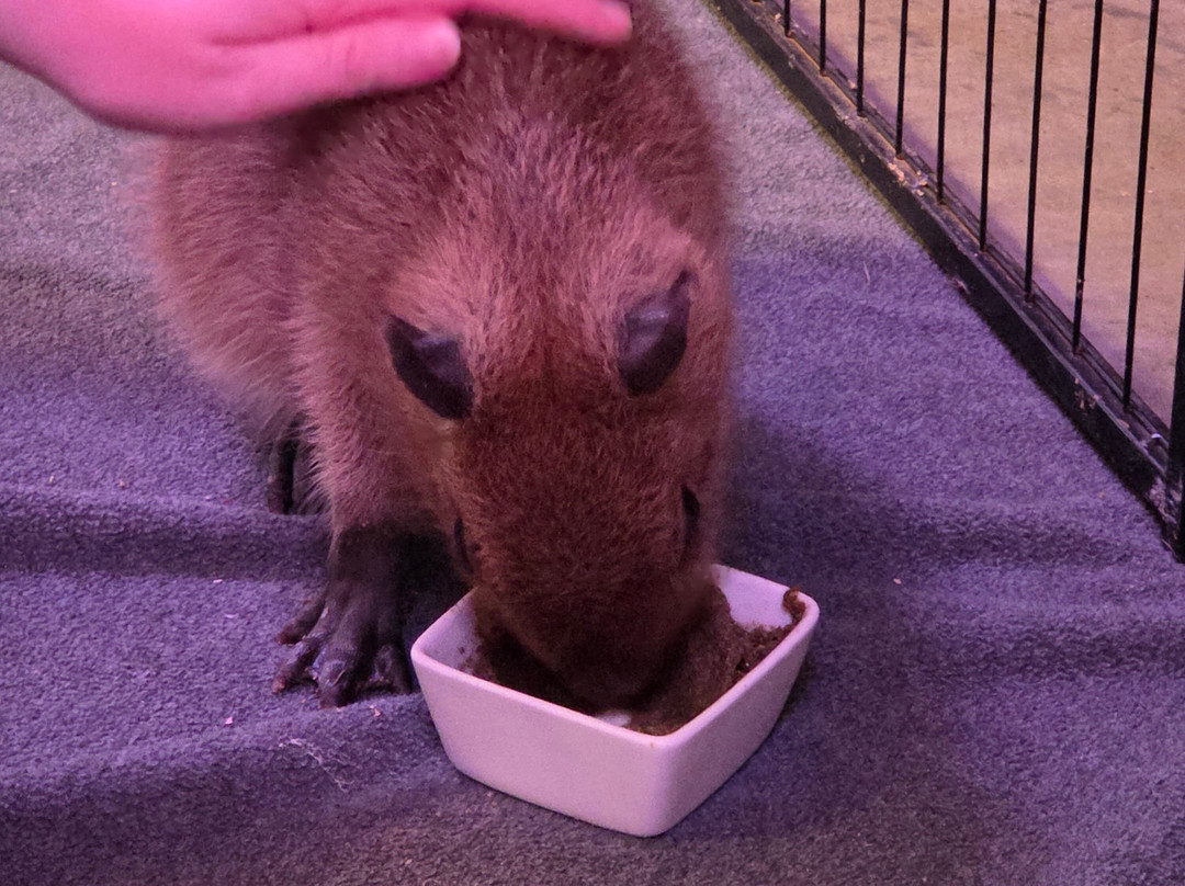 Blue Hills Ranch-McGregor必去景点