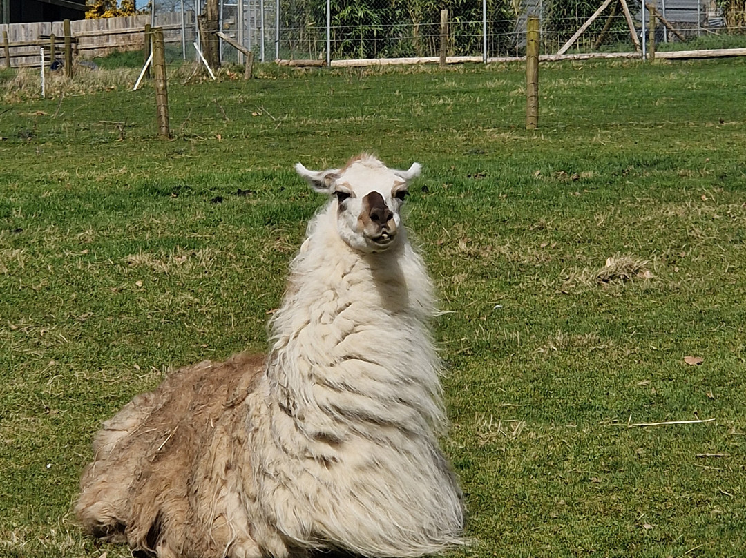 Secret Valley Wildlife Park-韦克斯福德必去景点
