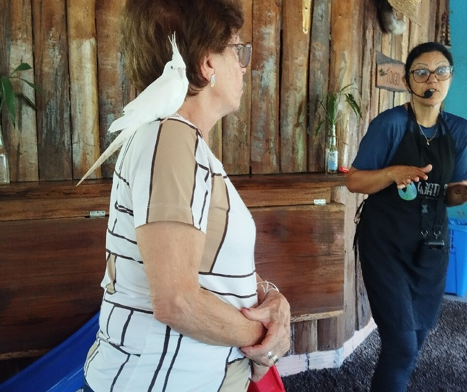 Criatório Ágata-Ametista do Sul必去景点