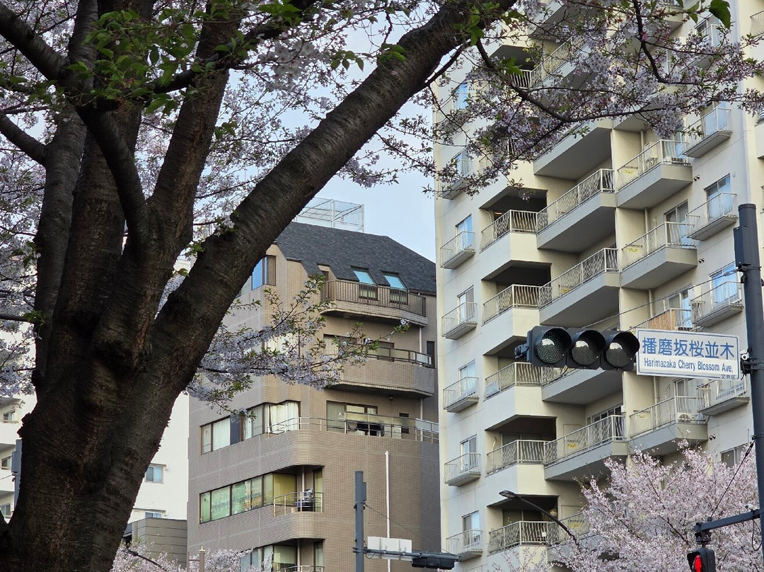 Harimazaka (Harima Slope)-文京区必去景点