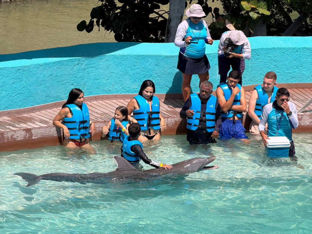 互动式水族馆-坎昆必去景点