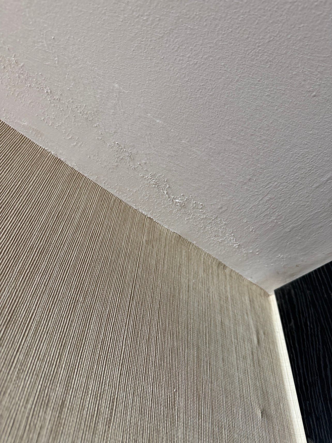 安塔利亚利马克拉腊豪华酒店及度假村-官方