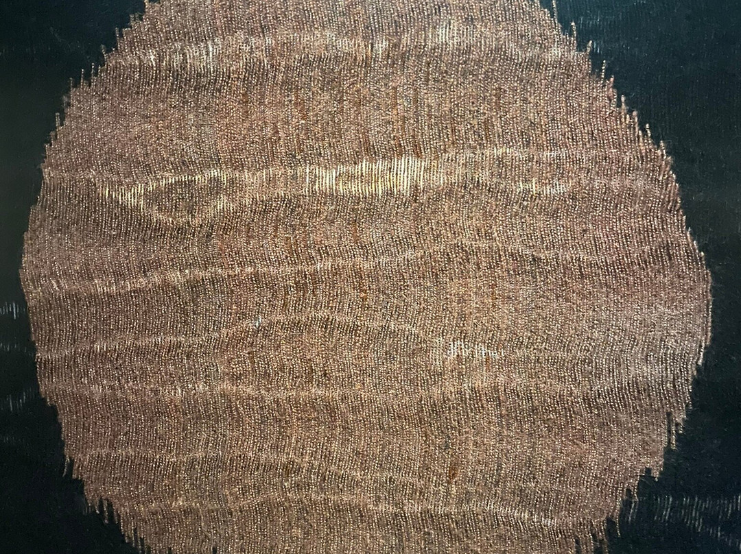 布宜诺斯艾利斯拉丁美洲艺术博物馆-布宜诺斯艾利斯必去景点