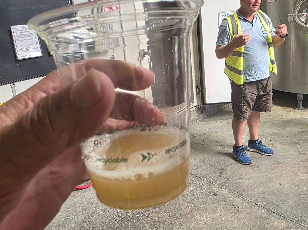 McCashin's Brewery-尼尔森必去景点