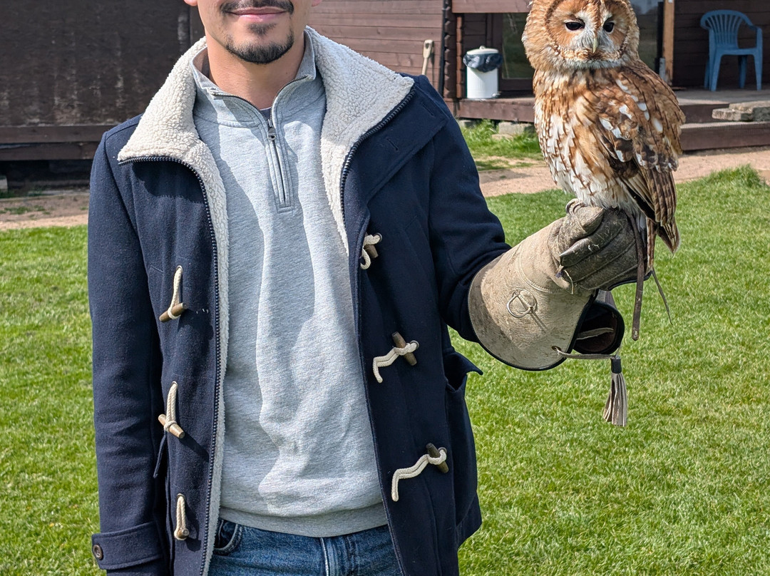 Bird on the Hand Falconry Experiences-Church Langton必去景点