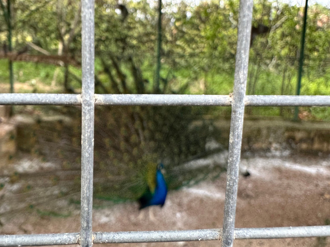 Fattoria Didattica Marilù-Veroli必去景点