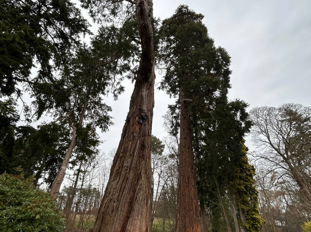 麦克唐纳诺伍德厅堂酒店主图